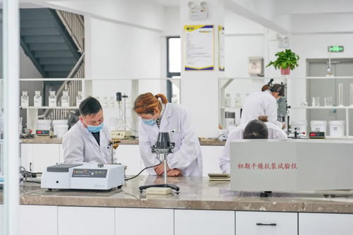 北方仿石漆龍頭 以技術筑基，筑價值壁壘